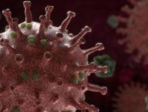 Pandemia pelo Corona Vírus e Vazamentos de Água